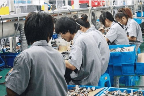 從電子廠到個人護理電器 農(nóng)村青年就業(yè)選擇背后的生存智慧